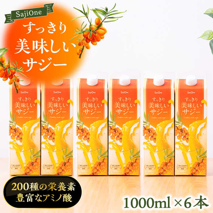 【ふるさと納税】【3か月分を一回で配送】家族みんなでおいしく飲める！すっきり美味しいサジー（6本）《豊前市》【ハウスボトラーズ】[VAX046]