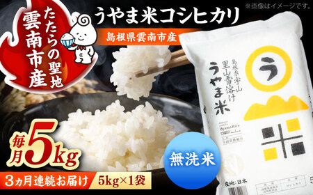【3ヶ月定期便】無洗米 令和7年産 コシヒカリ 5kg 無洗 [AIDB083]