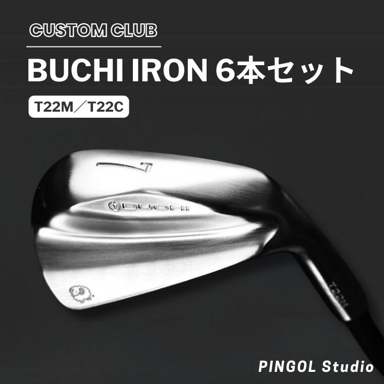 【ふるさと納税】【PINGOL Studio】選べるアイアン 6本セットBUCHI IRON T22M or T22C ゴルフ《60日以内に出荷予定(土日祝除く)》