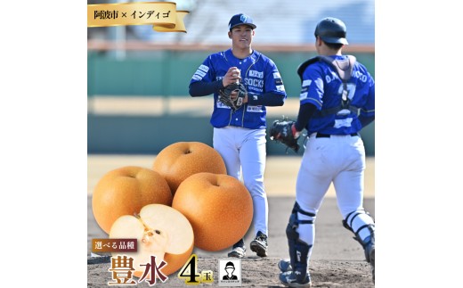 【豊水4玉 選手サイン入りチェキ】 先行予約 徳島 インディゴソックス コラボ 梨 グッズ セット 《 9月上旬～順次発送 》 果物 フルーツ 野球 四国アイランドリーグ 阿波市