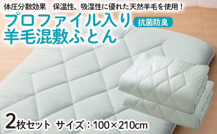
                  【日本の極み】プロファイル入り 羊毛混敷ふとん 2枚セット  FZ23-347
                