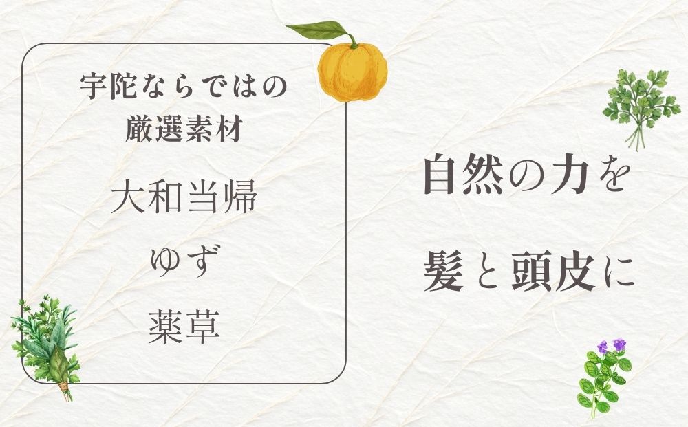 大和当帰美人 髪だより EXTEシャンプー ボトル 300ml／ふるさと納税 エクステ 大和当帰 ボトル メンズ 大容量 いい香り髪の美容液 髪整う 自然の力 頭皮 奈良県 宇陀市