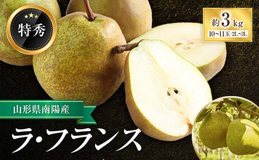 【令和6年産先行予約】 ラ・フランス 約3kg (10～11玉 特秀) 《令和6年11月頃～発送》 『生産者 鈴木 喜代美』 ラフランス 西洋梨 洋なし 訳あり 山形県 南陽市 [571]