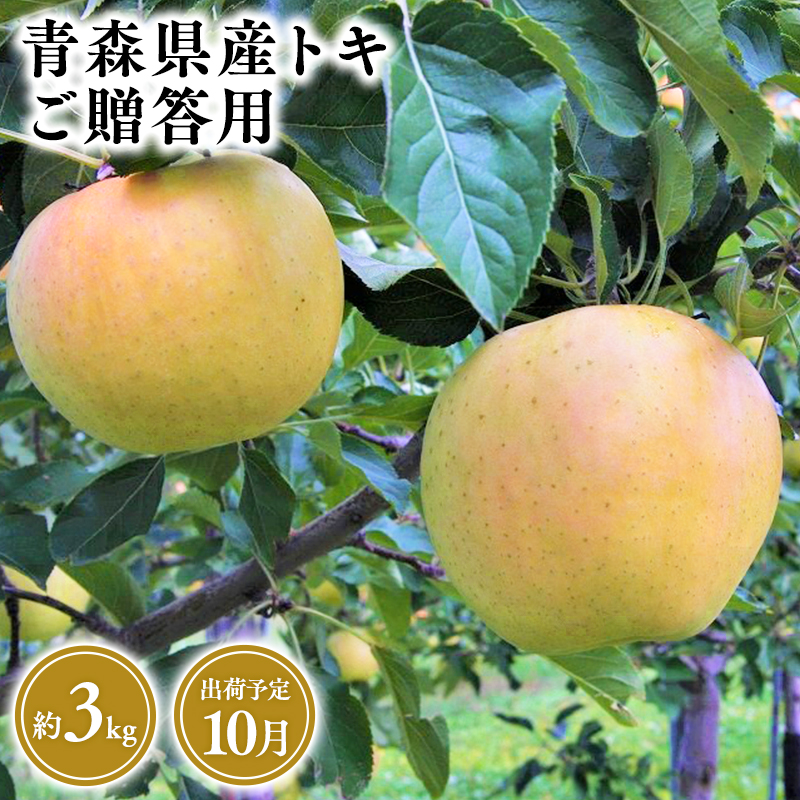 １０月発送　贈答用トキ3ｋｇ　【そと川りんご園・１０月・青森県産・平川市・りんご・トキ・3ｋｇ・贈答用】