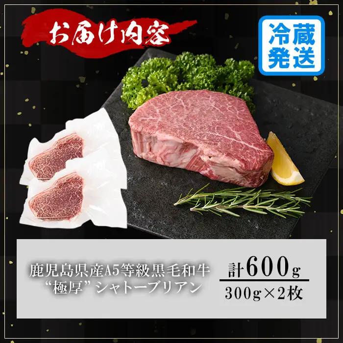 鹿児島県産 A5 黒毛和牛 極厚 シャトーブリアン(計600g・300g×2枚)【KNOT】 D55
