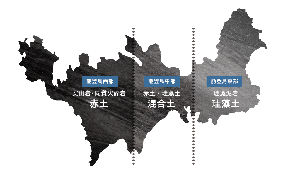 【定期便 月1回（年12回）】御米（5kg）コシヒカリ 精米 ※2026年10月～発送