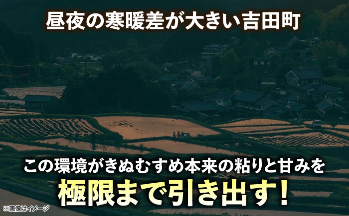 新米 きぬむすめ 令和8年産 2026年産 白米