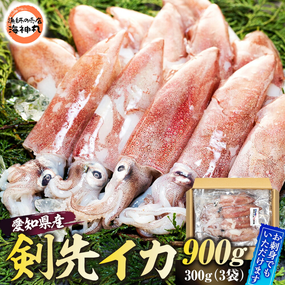 【ふるさと納税】 ケンサキ イカ ( アカイカ ) 300g × 3袋 冷凍 海鮮 魚介 海の幸 真空 パック 小分け バター 炒め 姿焼き パスタ フライ 揚げ物 アヒージョ 愛知県 南知多町 人気 おすすめ ふるさと納税イカ ふるさと納税アカイカ 【配送不可地域：離島】