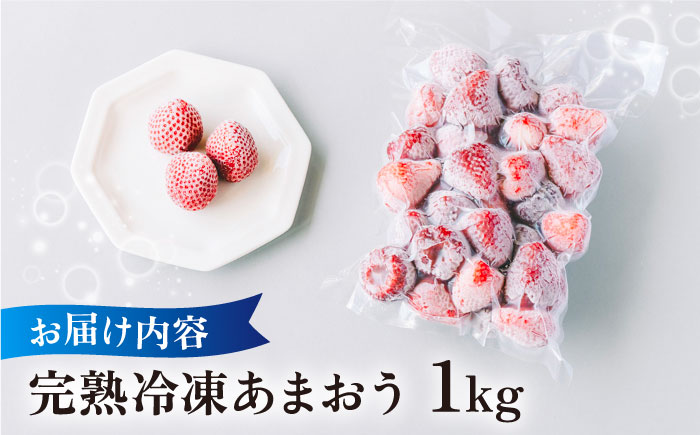 完熟冷凍あまおう 1kg 糸島市 / slowberry strawberry [APJ006]