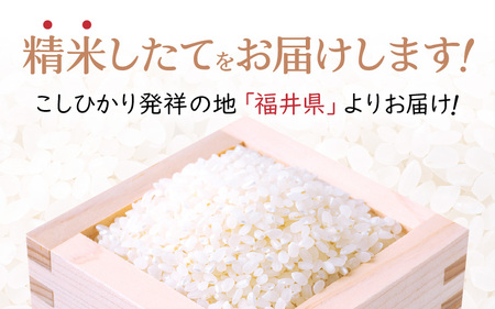 【先行予約】令和8年産 新米 幻のもち米 タンチョウもち米 3kg（精米）【2026年10月中旬以降順次発送】 【お米 米 こめ コメ kome 福井県産 モチ たんちょう おこわ 餅 おもち 常温 