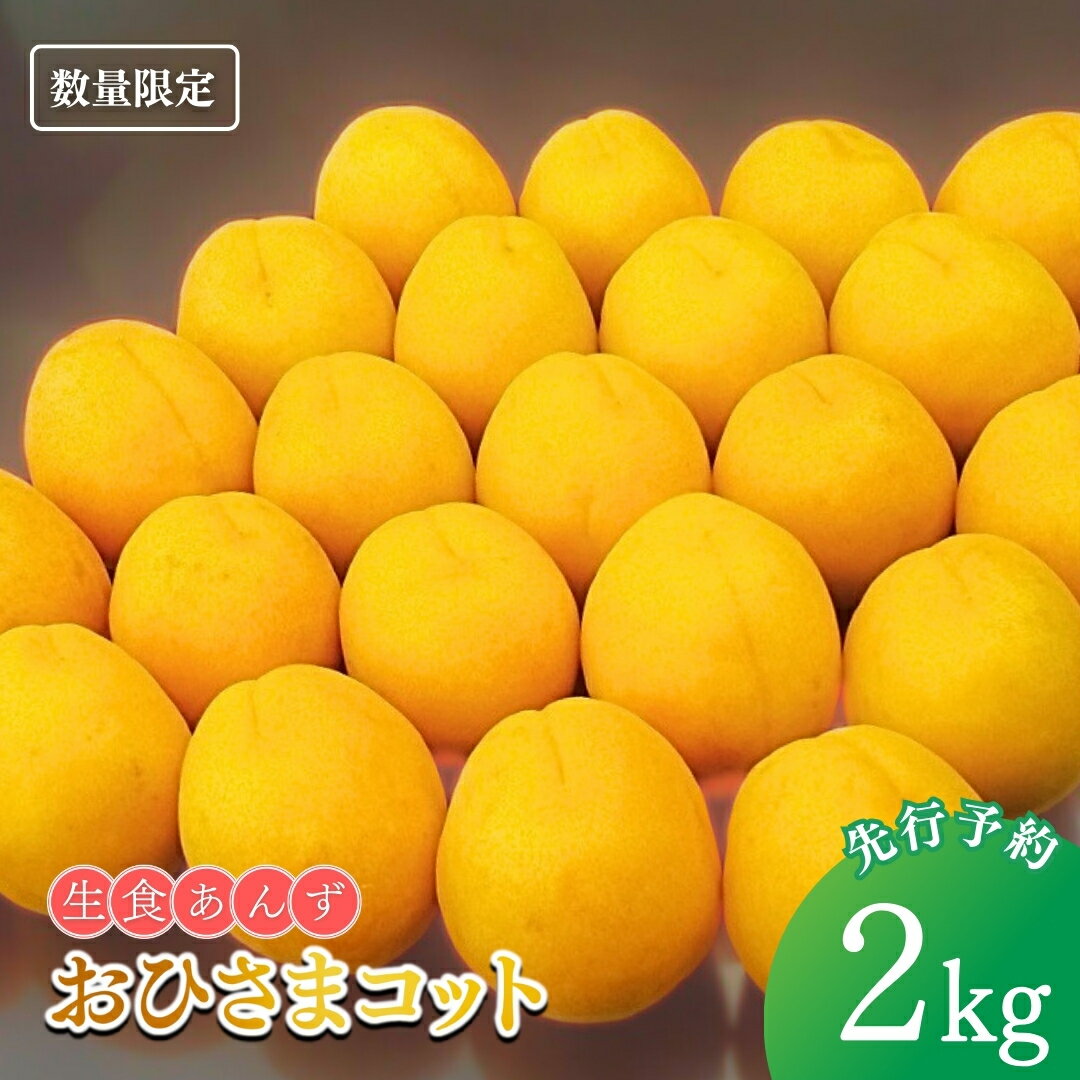 【ふるさと納税】【2025年先行予約】生食用あんず おひさまコット 約2kg 杏子 アプリコット 信州 長野県 千曲市