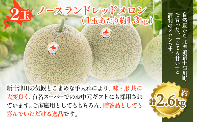 【先行予約】【数量限定】 赤肉メロン２玉【令和８年７月～８月上旬発送】| メロン 北海道 赤玉 セット詰め合わせ オンライン申請 オンライン ワンストップ マイページ デザート 果物 フルーツ 赤肉メ