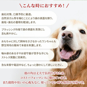鹿の角 犬のおもちゃ ペット用 Lサイズ ( ペット おもちゃ 鹿 角 )【079-0004】