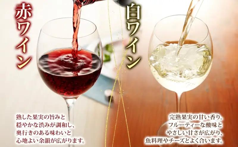 スチューベンワイン 赤・白 720ml 各1本 セット 赤ワイン 白ワイン 紅白セット スチューベン 果実酒 ぶどう酒 飲み比べ 詰め合わせ 青森県産 日本ワイン 地酒 晩酌 ギフト 贈答用 フルーツ