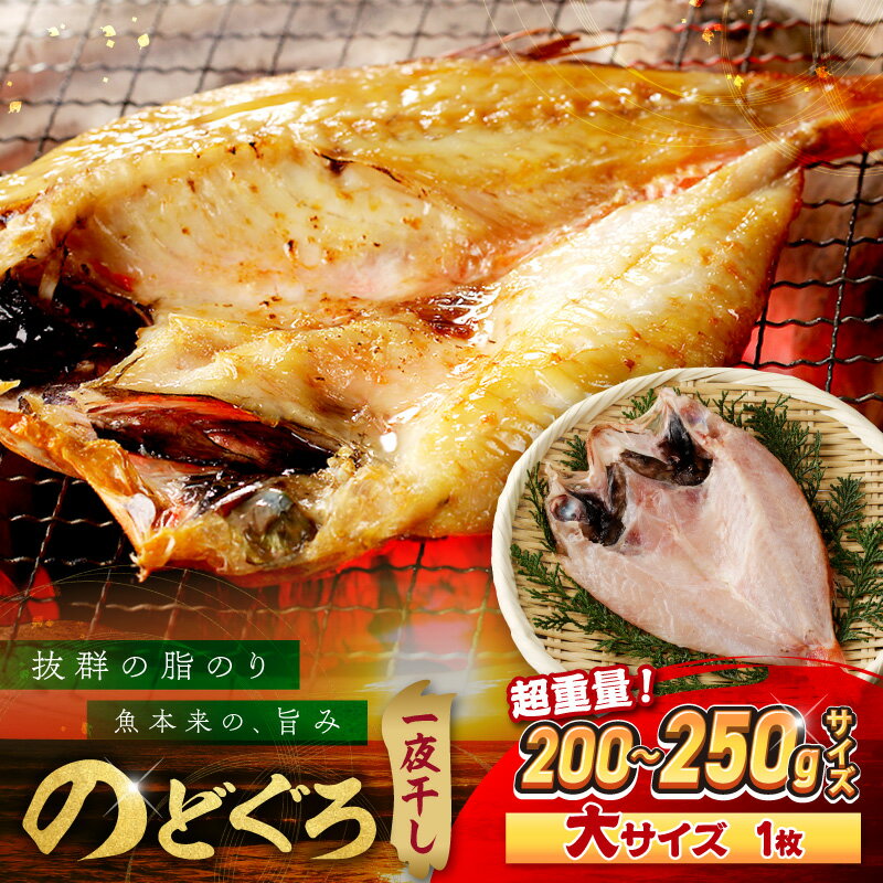 【ふるさと納税】のどぐろ一夜干し無添加個包装1枚「希少サイズ・大型200g超重量」産地直送 干物 魚 一夜干し 人気 大きい 天然 ボリューム ノドグロ【005_2086】