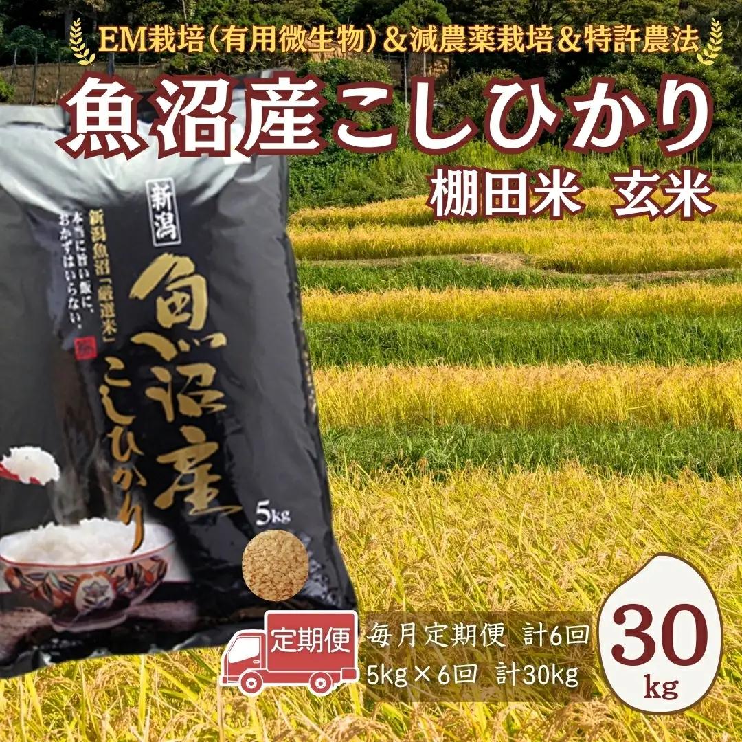 【令和8年 先行予約 定期便】魚沼産コシヒカリ棚田米 玄米 30kg (5キロ×6回) 佐藤農場|おこめ 玄米 小千谷 新潟