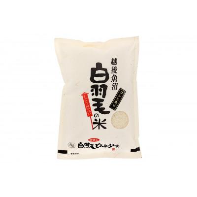 ふるさと納税 十日町市 令和6年産　農家直送!魚沼産コシヒカリ「白羽毛の米」精米(2kg×3袋)6kg |  | 01