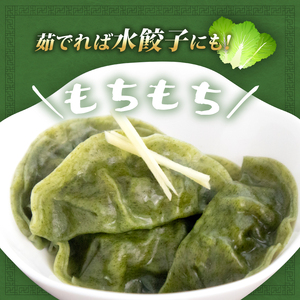 サンチュ餃子 48個 餃子