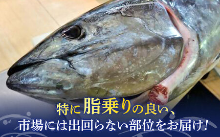 【全12回定期便】まぐろ おまかせバーベキューセット 冷凍約3kg 鮪 マグロ BBQ 魚 横須賀【横須賀商工会議所 おもてなしギフト事務局（本まぐろ直売所 横須賀本店）】 [AKAK034]