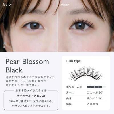 ふるさと納税 西原村 【&Less】マグネット式つけまつげ　パールブロッサムブラック |  | 01