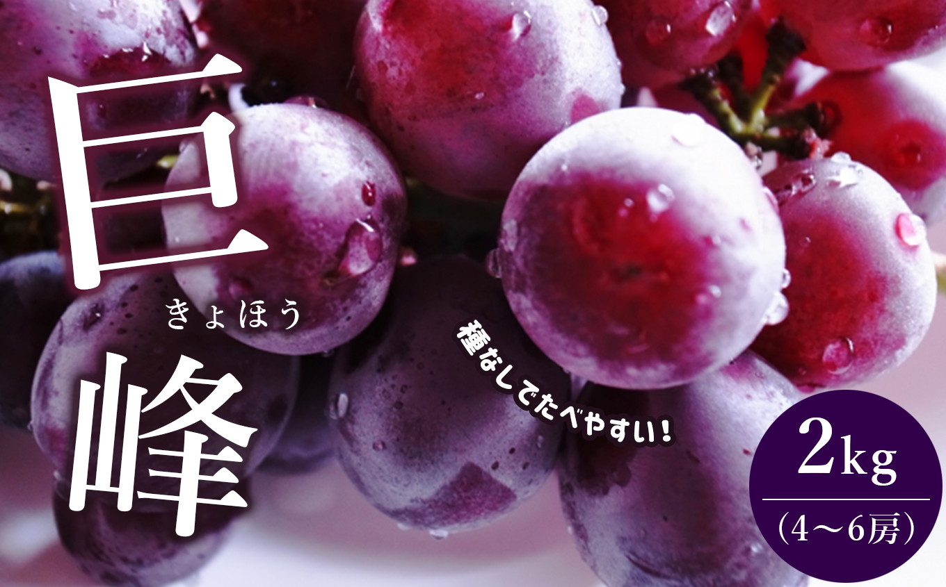 
巨峰 約 2kg（4～6房）
