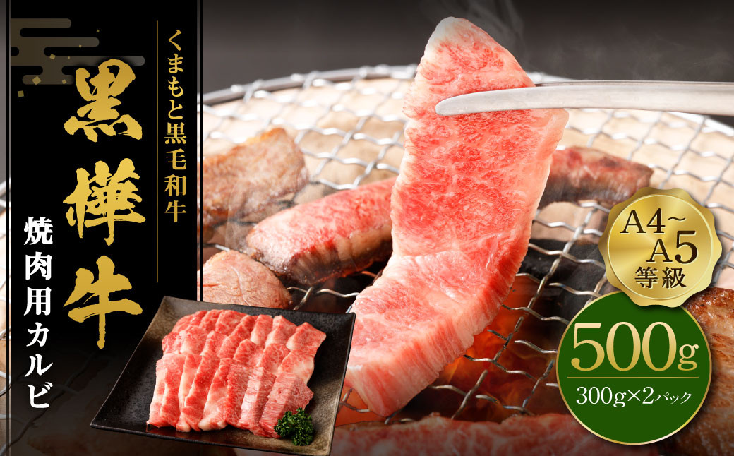 
くまもと黒毛和牛 黒樺牛 A4~A5等級 焼肉用カルビ 500g（250g×2）
