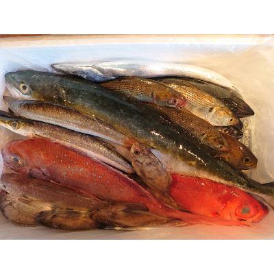 ふるさと納税 長崎市 長崎漁港発!旬の地魚鮮魚セット(小) |  | 01