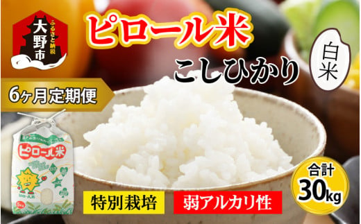 【令和6年産 新米】【6ヶ月定期便】こだわりの米！弱アルカリ性のピロール米 こしひかり 白米 5kg×6回 計30kg 