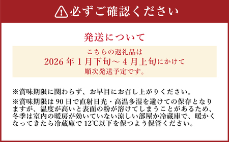 《先行受付》 堂上蜂屋柿 秀 6個 入り 柿 干柿 干し柿 フルーツ 果物 【2026年1月下旬-4月上旬 発送予定】