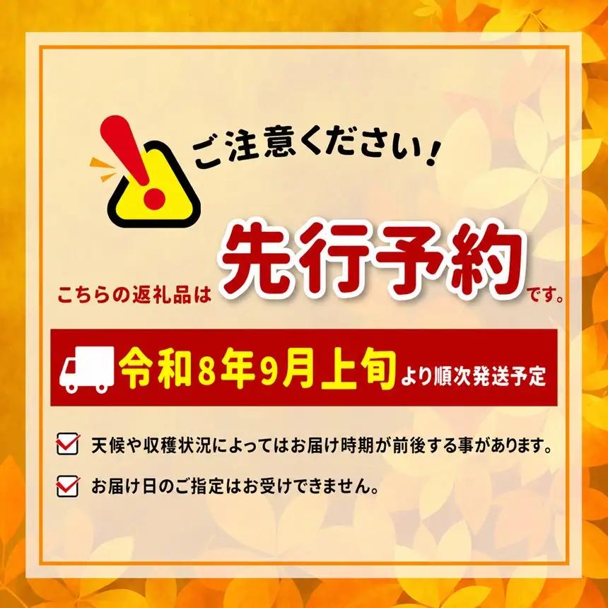 【9月上旬から発送予定】南信州生まれのジューシーで甘い梨「南水梨」 約2kg 5～6玉 糖度14.0以上