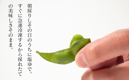 手軽に簡単おいしい本場の味！レンジｄｅだだちゃ豆 960g　(80g×12袋)　【市制施行20周年記念返礼品】　鶴岡飲料(株)　K-730