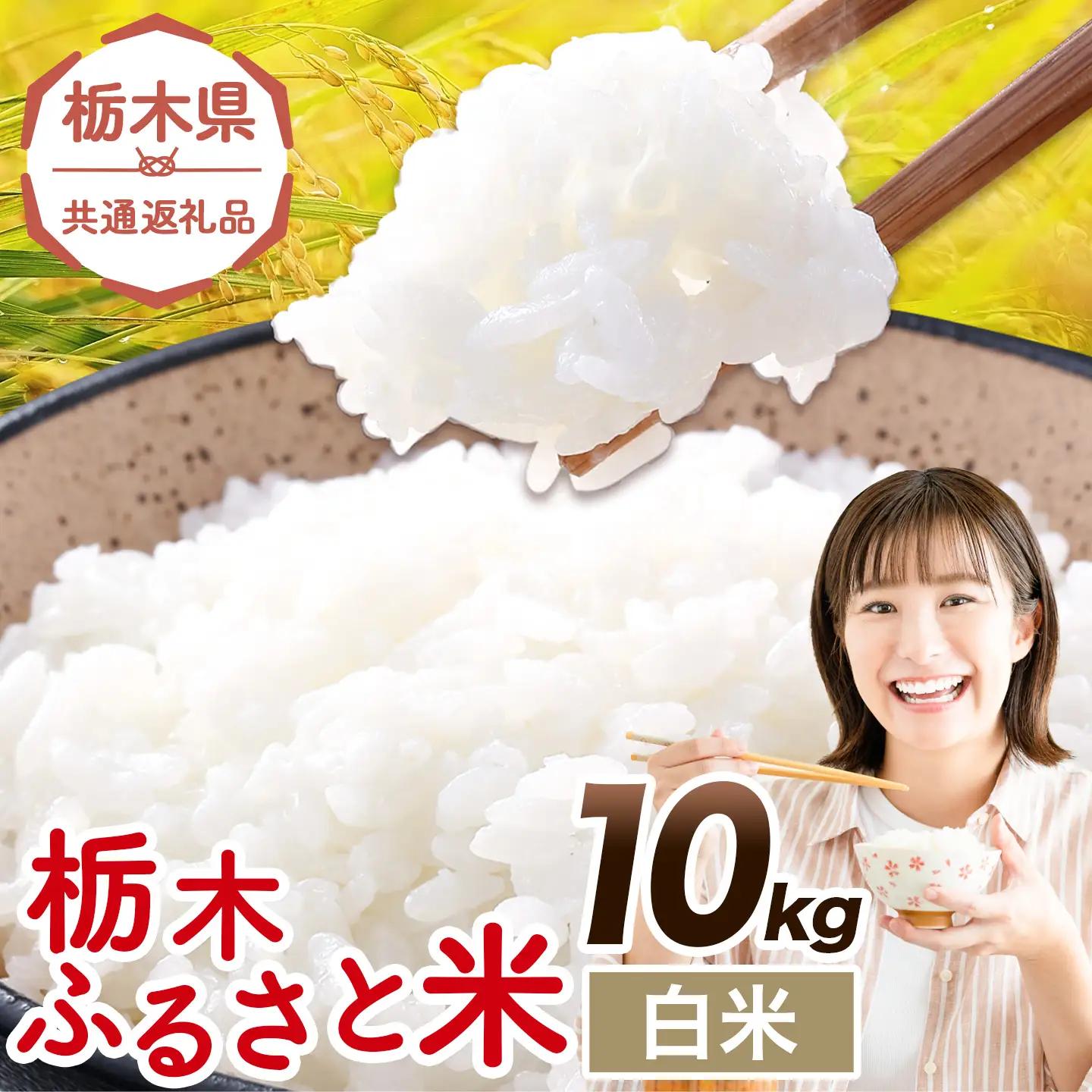 栃木ふるさと米 白米 10kg《7-14日以内に出荷予定(土日祝除く)》おこめ【栃木県共通返礼品】
