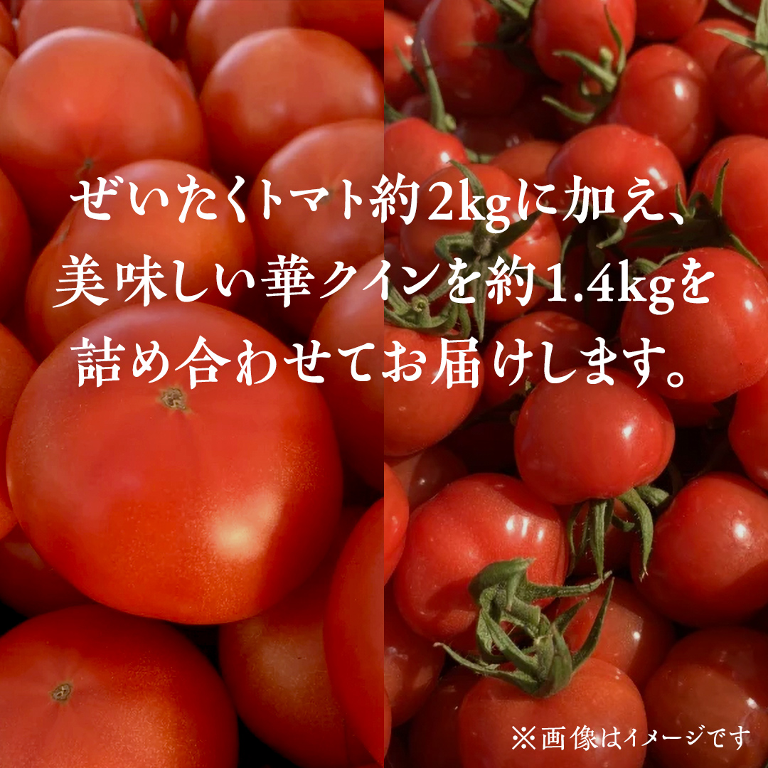 野口農園 ！ ぜいたくトマト（2kg）と華クイン（1.4kg） トマ