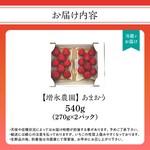 【増永農園】 あまおう 270g×2パック 【2026年1月より順次発送】 ジューシー フレッシュ 苺 果物 くだもの スイーツ作り 数量限定 イチゴ 期間限定 美味しい いちご 福岡県 八女市 19