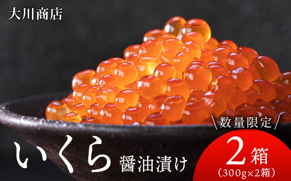 
            いくら醤油漬け2箱セット＜大川商店＞
          