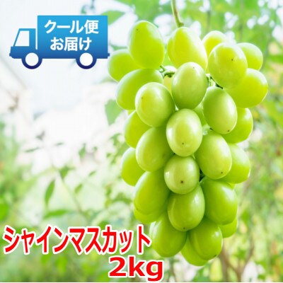 安心のクール便発送　シャインマスカット 2kg (3～4房)【配送不可地域：離島・北海道・沖縄県・中国・四国・九州】