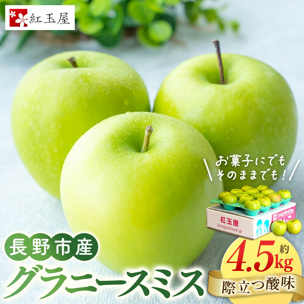 【ふるさと納税】紅玉屋　際立つ酸味！ 長野市産 グラニースミス 約4.5kg （お菓子作り・酸っぱいりんご好き専用） 希少品種 林檎 クッキングアップル | りんご 林檎 フルーツ 果物 おすすめ 送料無料 長野県 長野市 信州 信濃 ふるさと納税
