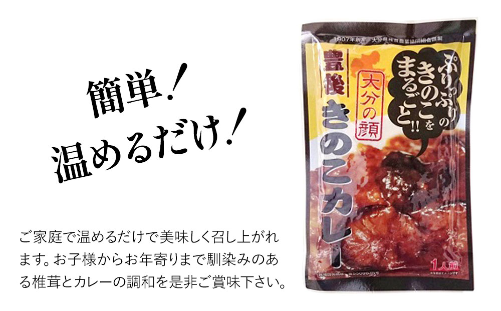 豊後きのこカレー 9袋 レトルトカレー 中辛タイプ 保存食 常温保存 非常食 ご当地カレー 椎茸 お取り寄せ グルメ 大分県産 九州産 津久見市