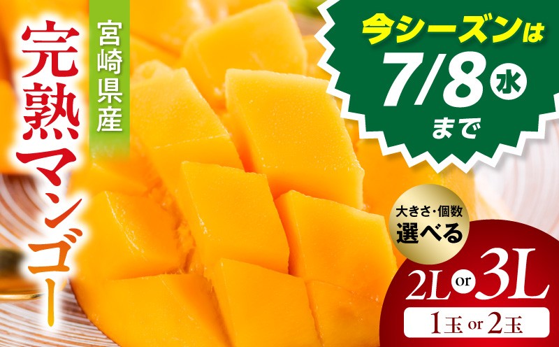 
                  【選べる大きさ・個数】《2026年発送》【数量・期間限定】宮崎県産完熟マンゴー マンゴー 完熟 完熟マンゴー フルーツ果物 デザート 選べる 2L 3L 宮崎マンゴー 数量限定 旬 旬の果物 名物 グルメ 1玉 2玉 1個 2個 セット 冷蔵 ギフト プレゼント 贈答 贈答用 お祝い 人気 オススメ おすすめ 宮崎県産 宮崎県 宮崎市 宮崎 _M359-002-SKU
                