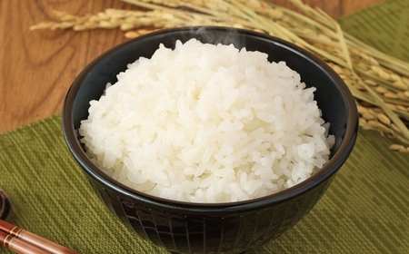 【令和7年産】無洗米 食味鑑定士厳選 夢つくし 10kg （5kg×2袋） お米 米 白米 食品 ご飯 飯 5kg 2袋