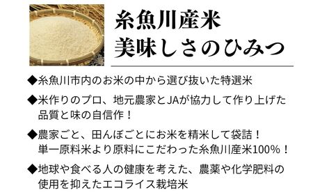 新潟県産コシヒカリ 2kg『ひすいの里』農家自慢の特選米 糸魚川 令和5年産 こしひかり