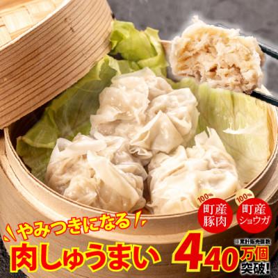 ふるさと納税 四万十町 やみつきになる美味さ!旨味がギュッと凝縮された肉しゅうまい