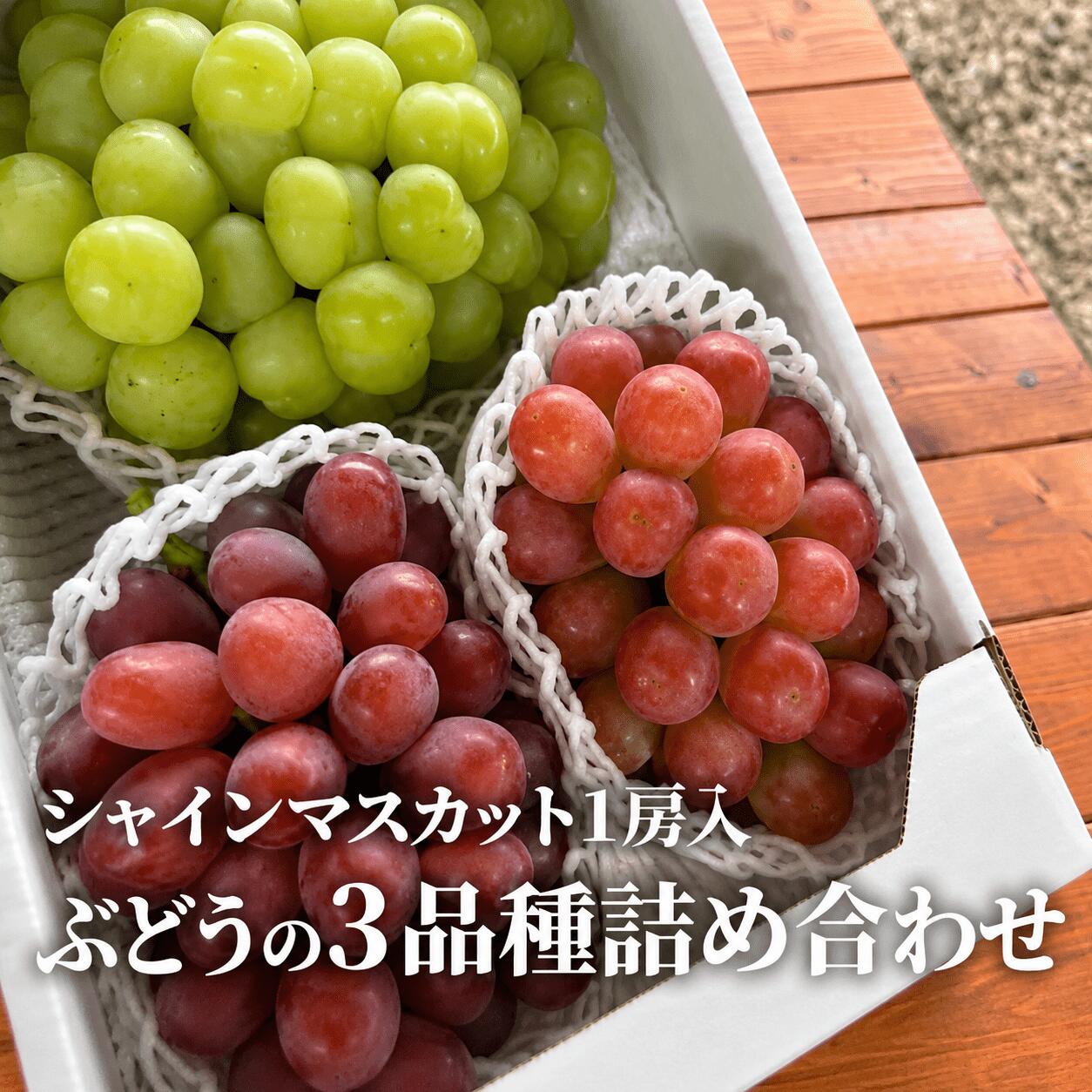 【ふるさと納税】【2026年発送】旬のぶどう3品種詰め合わせ(シャインマスカット入り) 3~5房 計2.0kg~ (岡山県産)