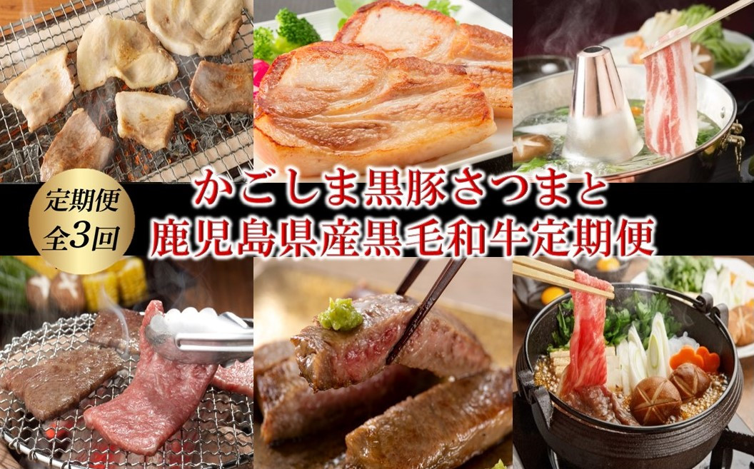【全3回】かごしま黒豚さつまと鹿児島県産黒毛和牛定期便