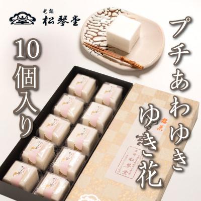 ふるさと納税 下関市 下関名菓 和菓子 贈答 あわゆき プチあわゆき ゆき花 10個入 BD202-x