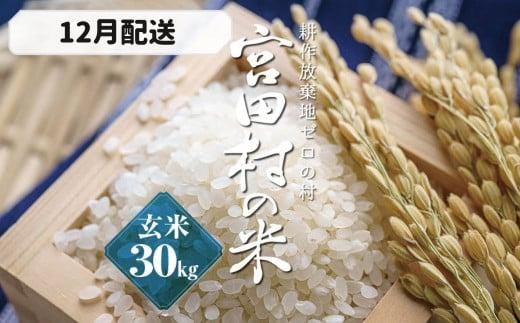 【予約受付】【令和７年米】【新米】長野県宮田村産コシヒカリ／玄米／30kg・60,000円／12月配送
