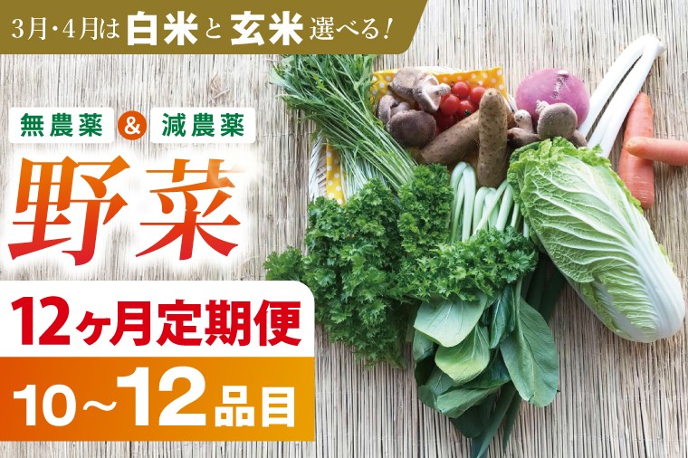 
                  【12ヶ月定期便】身体が喜ぶ季節の野菜 10～12品目(3月、4月は米 5kg)｜米 お米 こめ 玄米 野菜 野菜セット 栽培期間農薬不使用 定期便 野菜定期便 茨城県共通返礼品 共通返礼品 茨城県 潮来市 行方市(BI-10)
                