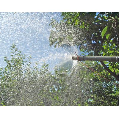 ふるさと納税 かつらぎ町 和歌山県産たねなし柿 約7.5kg LまたはMサイズ・36個または40個入り |  | 02