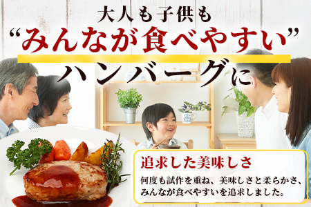 お肉屋さんが作った 国産 生ハンバーグ 2.4kg (120g×20個) 芳寿豚 ハンバーグ B-783