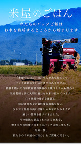 【6ヶ月定期便】パックご飯 新潟県阿賀野市産みずほの輝き 150g×24食×6回 1H20073